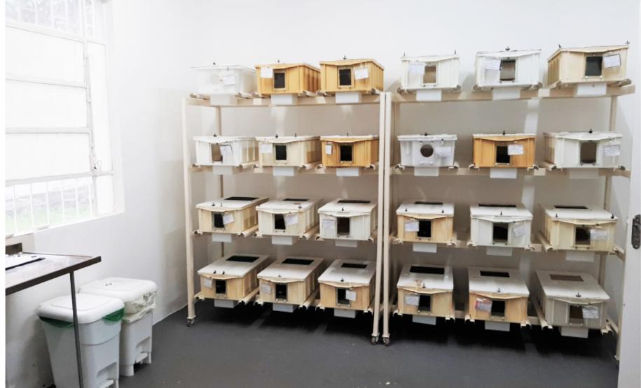 Serpentario CPPI - Galeria Serpentario CPPI