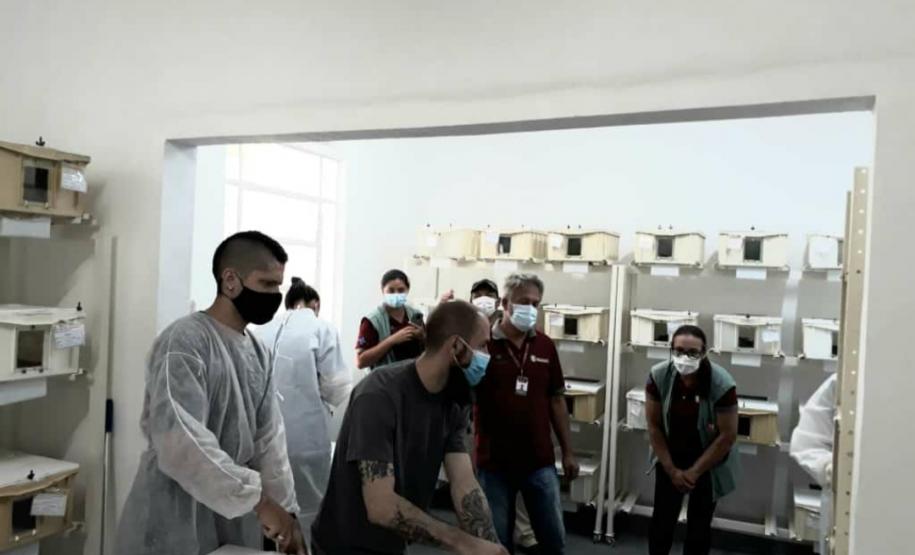 Serpentario CPPI - Galeria Serpentario CPPI