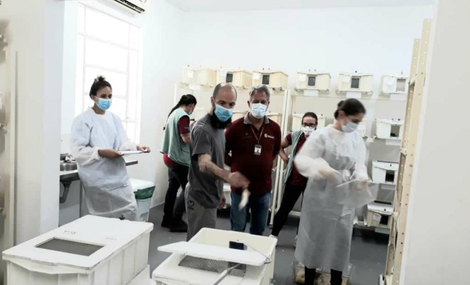 Serpentario CPPI - Galeria Serpentario CPPI