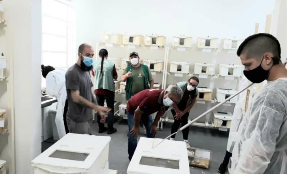 Serpentario CPPI - Galeria Serpentario CPPI