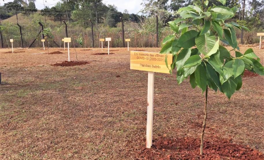 Semana enfermagem 2021 galeria Semana enfermagem 2021 galeria