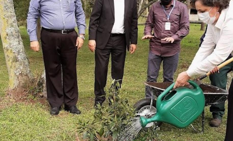 CPPI - Evento Setembro 2021 - Galeria CPPI - Evento Setembro 2021 - Galeria