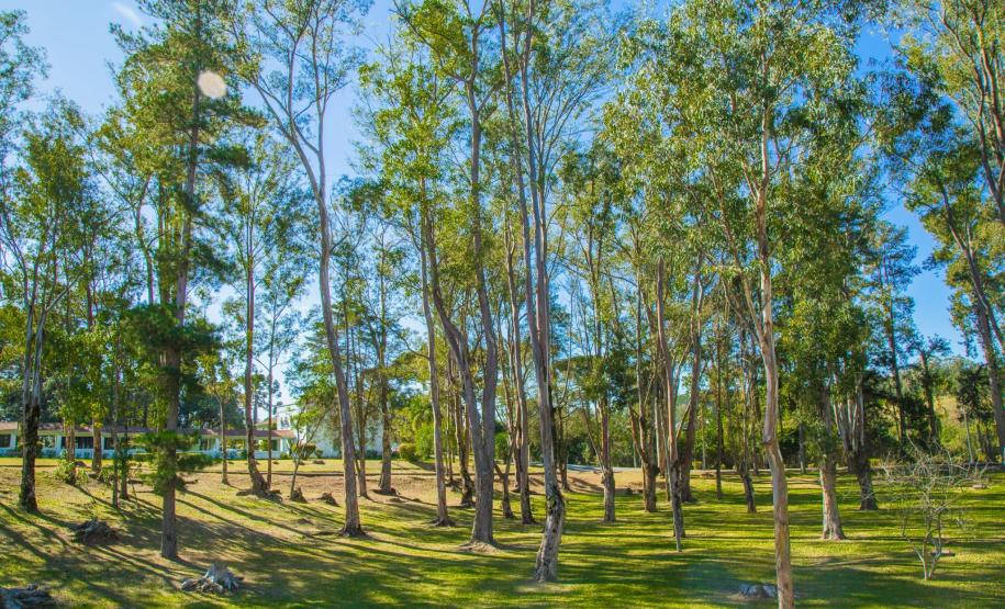 HDS - 95 anos - Outubro 2021 - Galeria