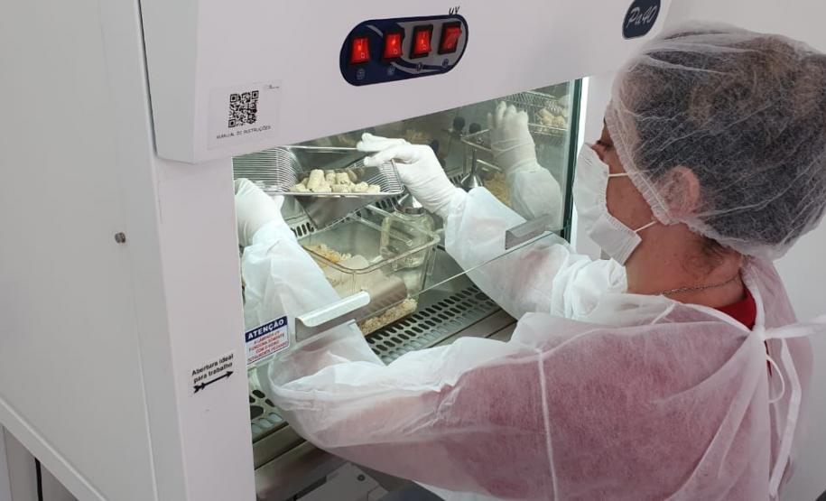 CPPI Cabine Segurança - galeria CPPI Cabine Segurança - galeria