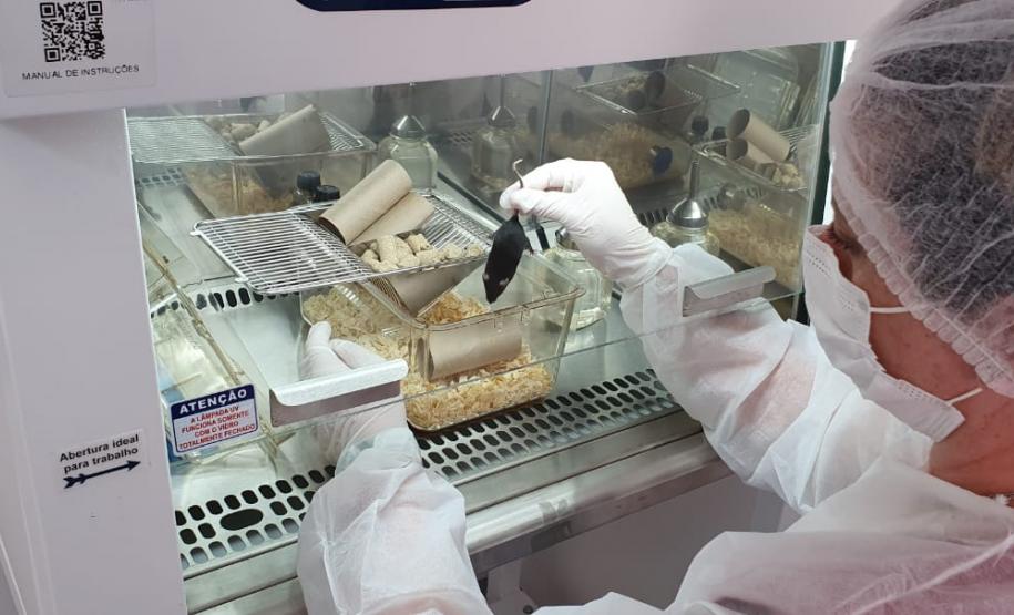 CPPI Cabine Segurança - galeria CPPI Cabine Segurança - galeria