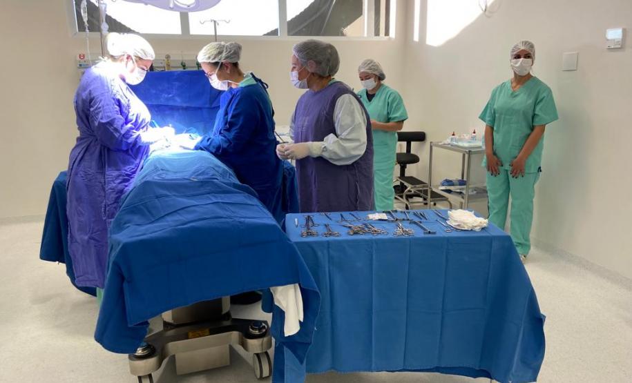 HRCO - PRIMEIRA CIRURGIA - GALERIA HRCO - PRIMEIRA CIRURGIA - GALERIA