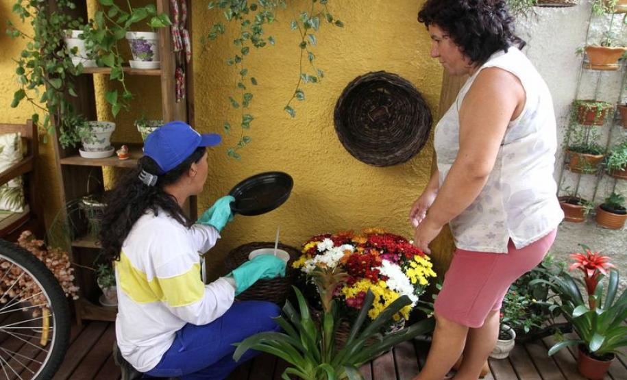 Após cinco anos, Paraná registra primeiro janeiro sem municípios em epidemia de dengue Após cinco anos, Paraná registra primeiro janeiro sem municípios em epidemia de dengue